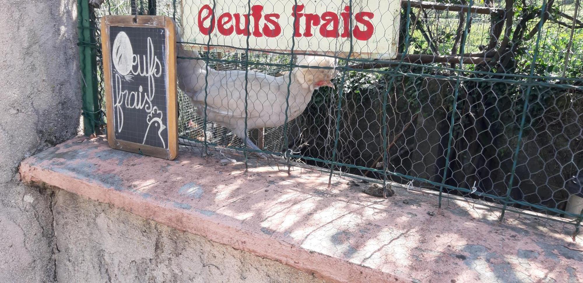 Apartamento Les Ecrins Les Mages Exterior foto